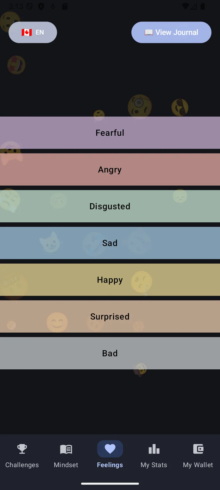 Send It! — feelings tracker built by Carys for a school coding challenge